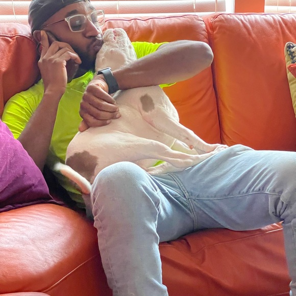 Meet your Posher, Phaedra - Picture 12 of 13